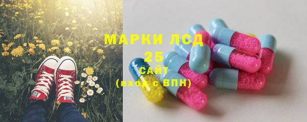 стафф Баксан