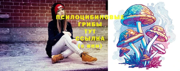 стафф Балахна