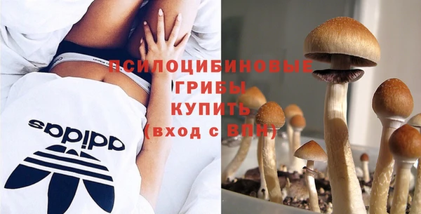стафф Баксан