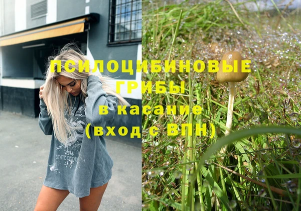 стафф Баксан