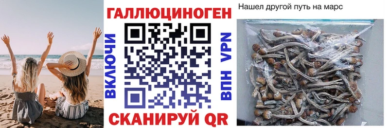 Псилоцибиновые грибы прущие грибы  Купить закладки  Пошехонье 