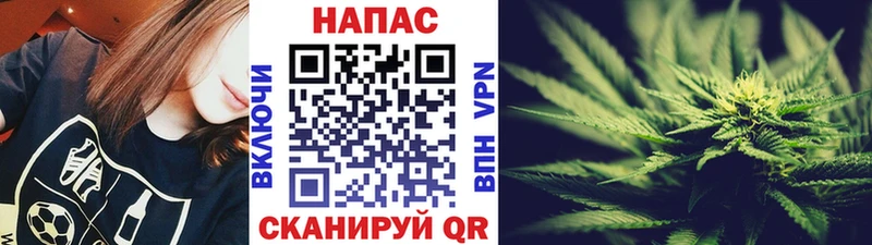 Канабис MAZAR  Купить где  Пошехонье 